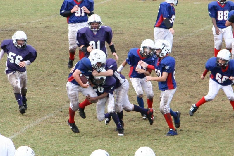 2008 PSLAA Ravens