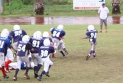 2008 PSLAA Ravens