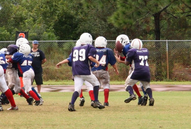 2008 PSLAA Ravens