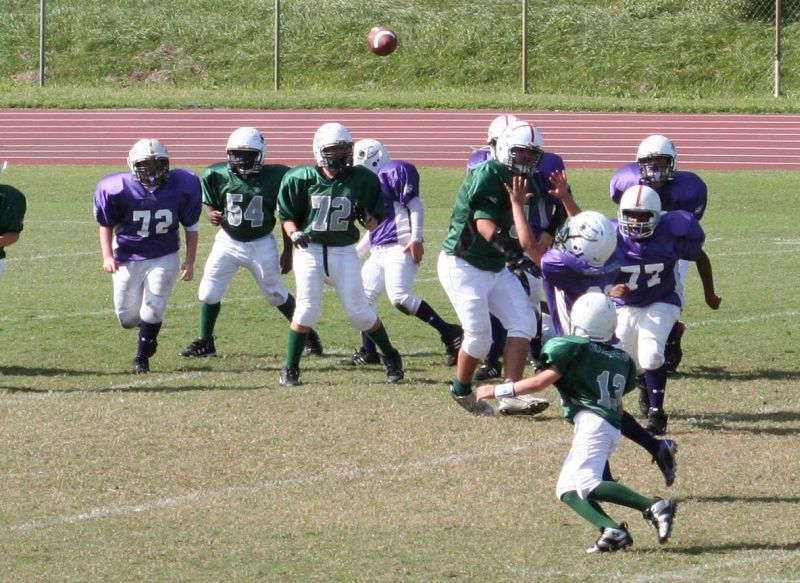 2008 PSLAA Ravens