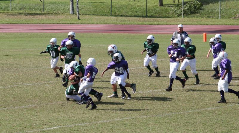 2008 PSLAA Ravens