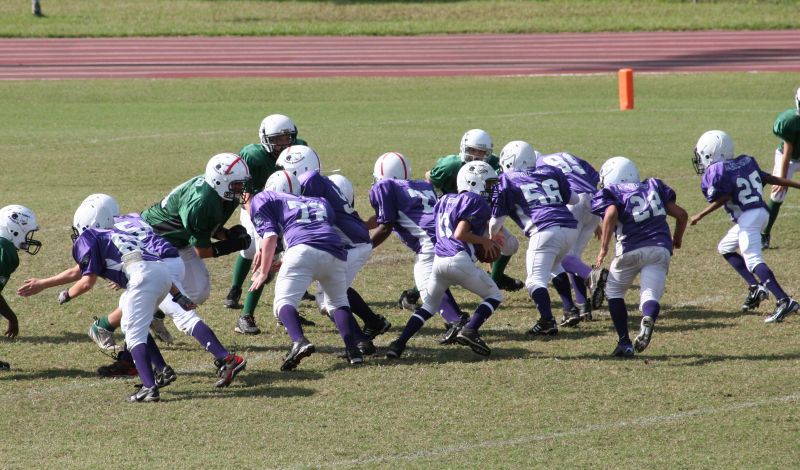 2008 PSLAA Ravens