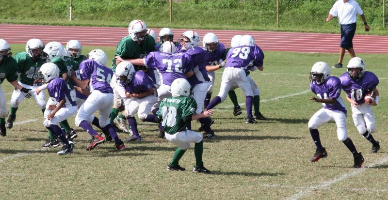 2008 PSLAA Ravens