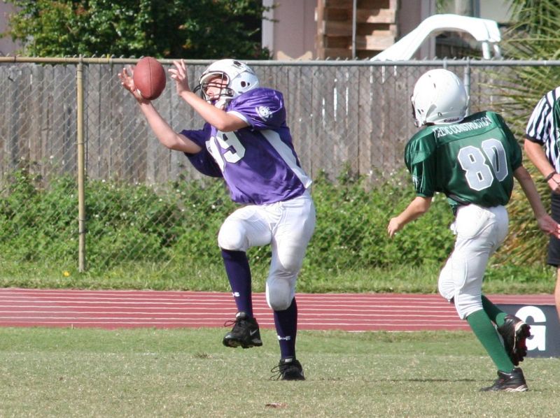 2008 PSLAA Ravens