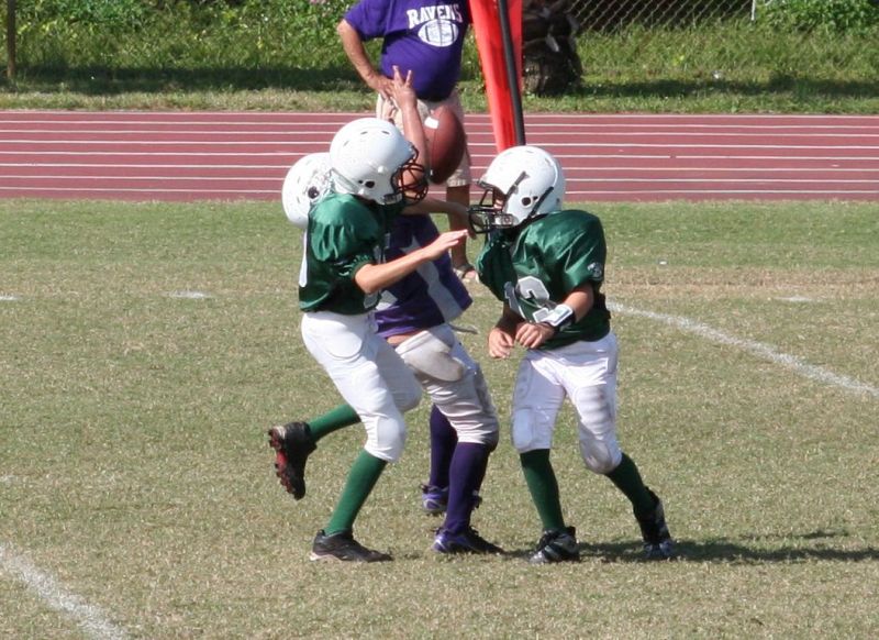 2008 PSLAA Ravens