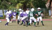 2008 PSLAA Ravens