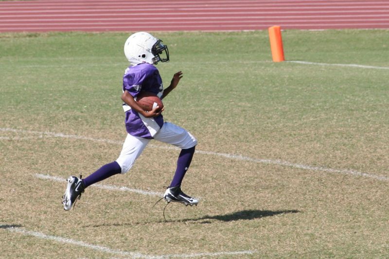 2008 PSLAA Ravens