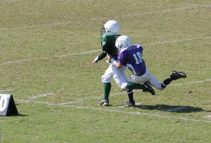 2008 PSLAA Ravens