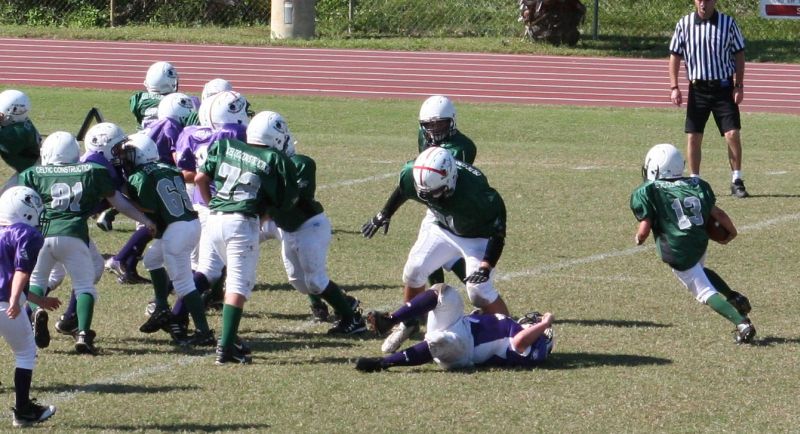 2008 PSLAA Ravens