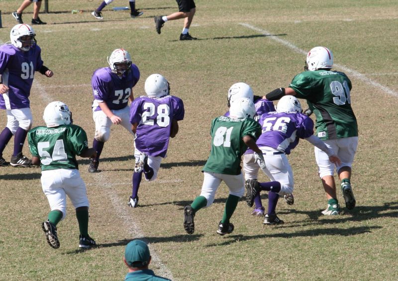 2008 PSLAA Ravens