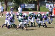 2008 PSLAA Ravens