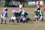 2008 PSLAA Ravens