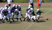 2008 PSLAA Ravens