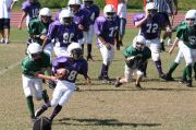 2008 PSLAA Ravens