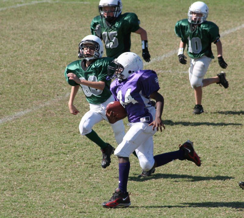 2008 PSLAA Ravens