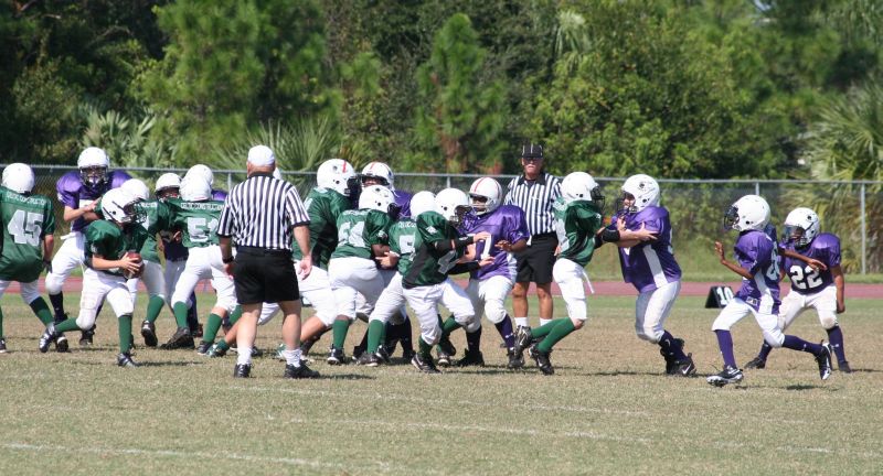 2008 PSLAA Ravens