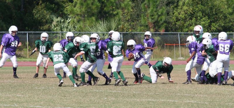 2008 PSLAA Ravens