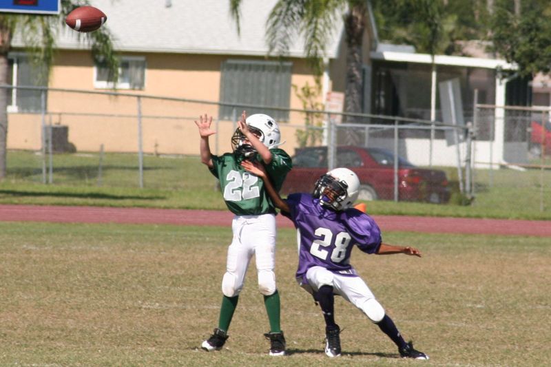 2008 PSLAA Ravens