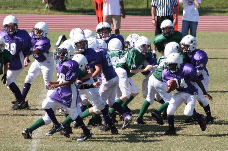 2008 PSLAA Ravens