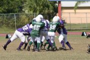 2008 PSLAA Ravens