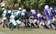 2008 PSLAA Ravens