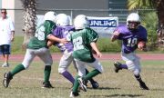 2008 PSLAA Ravens