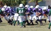 2008 PSLAA Ravens