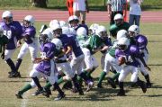 2008 PSLAA Ravens