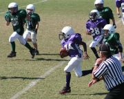 2008 PSLAA Ravens