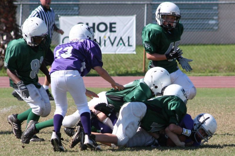 2008 PSLAA Ravens