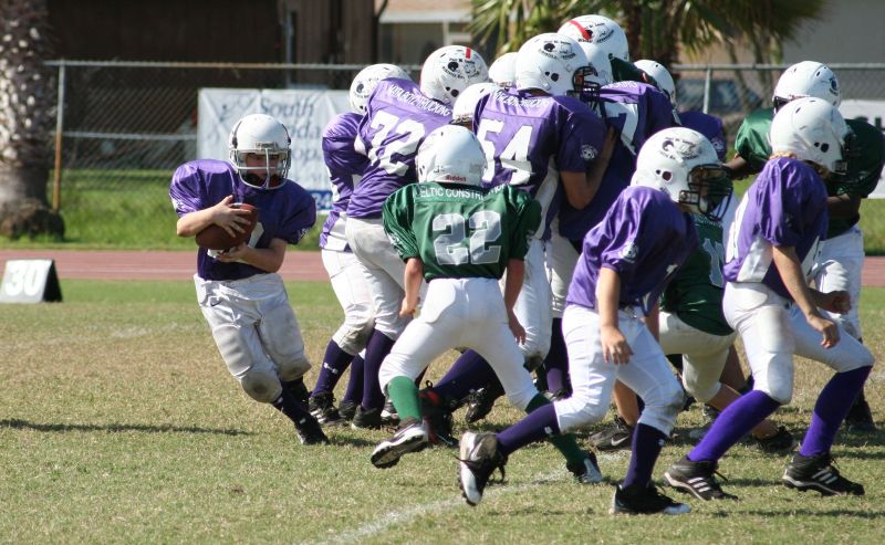 2008 PSLAA Ravens