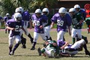 2008 PSLAA Ravens